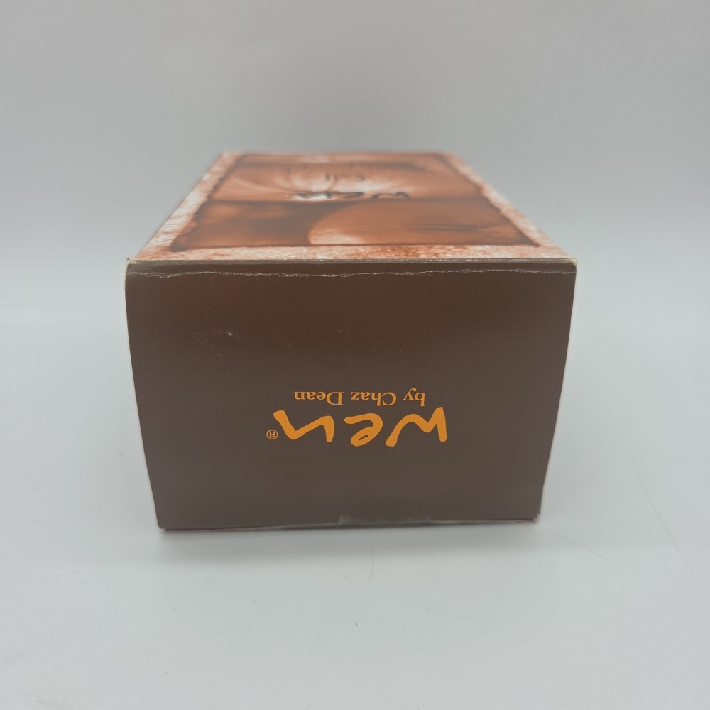 WEN Fall Ginger Pumpkin Cleansing Conditioner 16 oz NEW IN BOX - Picture 15 of 16